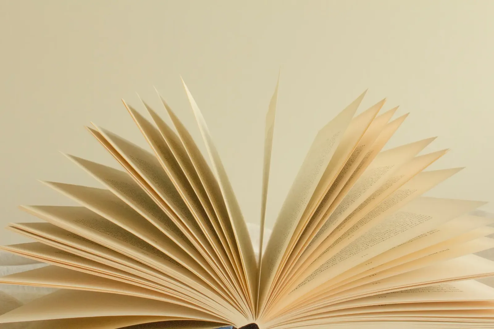 A Guide to the Enterprise Investment Scheme